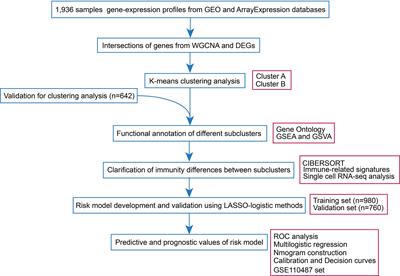 Identification of two robust subclasses of sepsis with both prognostic and therapeutic values based on machine learning analysis